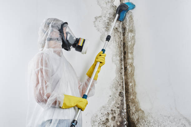 Certified Mold Removal in Goodlettsville, TN