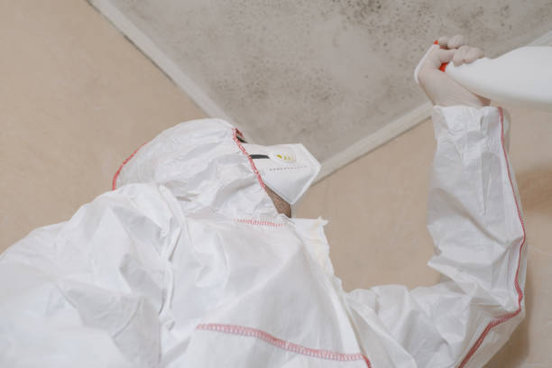 Best Attic Mold Removal  in Goodlettsville, TN